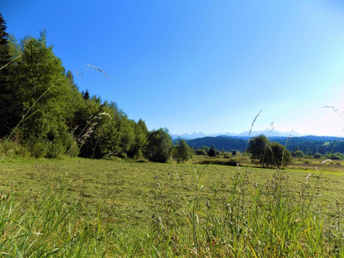 Pokoje U Teresy Czarna Góra Buitenkant foto