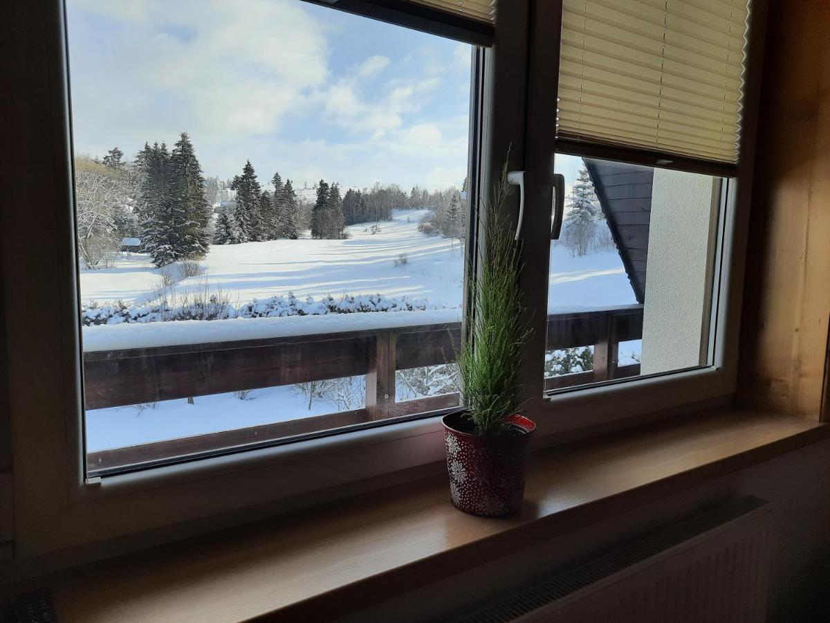 Pokoje U Teresy Czarna Góra Buitenkant foto